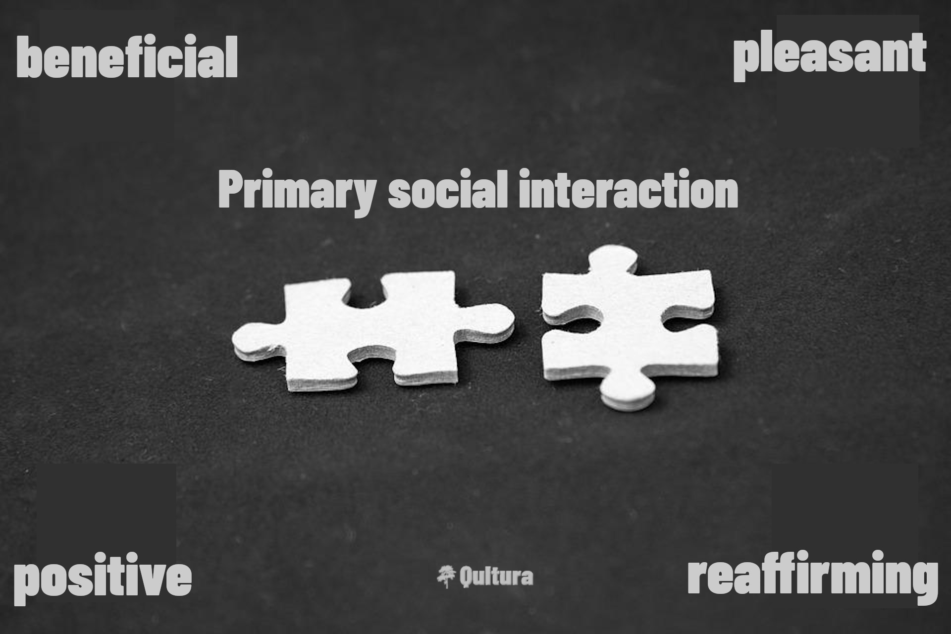 Primary Social Internation